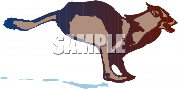 Wolf Clipart