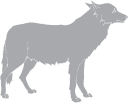 Mammal Clipart