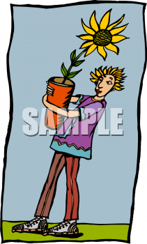 Sunflower Clipart