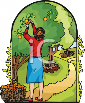 Orchard Clipart