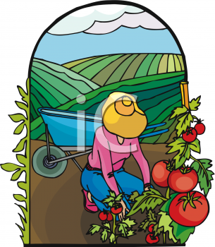 Field Clipart