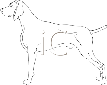 Dog Clipart