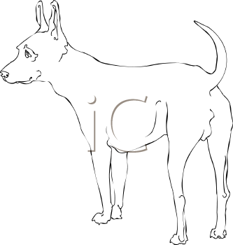 Dog Clipart