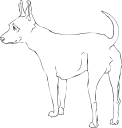 Dog Clipart