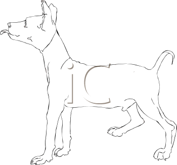 Dog Clipart