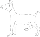 Dog Clipart