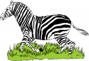 Zebra Clipart