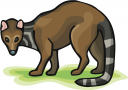 Cat Clipart